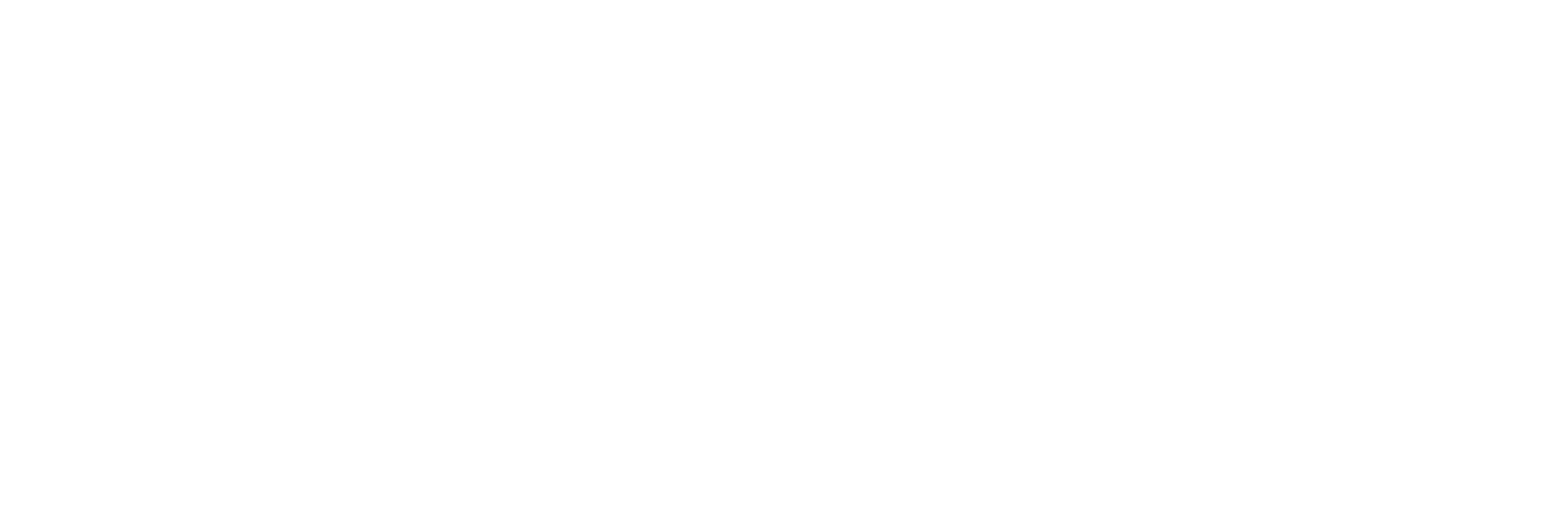 peksan-logo-beyaz_Çalışma Yüzeyi 1 kopya 2